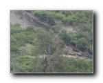laguna-landslide-032 - Click to enlarge