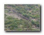laguna-landslide-034 - Click to enlarge